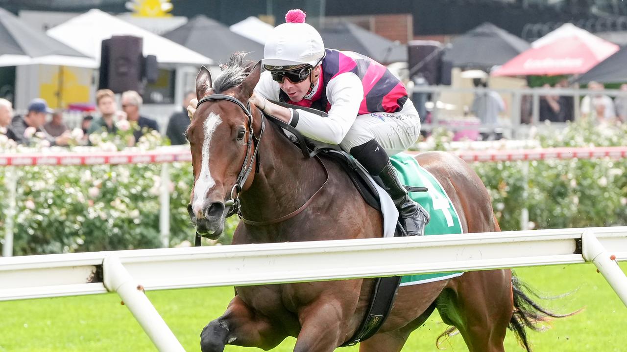 Saluted and Jye McNeil salute at The Valley last month. Picture: George Salpigtidis/Racing Photos