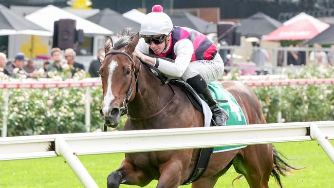 Saluted and Jye McNeil salute at The Valley last month. Picture: George Salpigtidis/Racing Photos