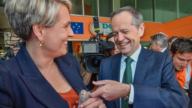 ‘I smell a rat’ ... Bill Shorten and Tania Plibersek. Picture: Jason Edwards