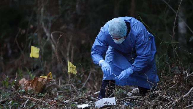 Police conduct a search in Good Night Scrub National Park looking for the missing 17 year old Pheobe Bishop. Pics Adam Head