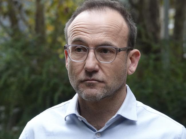 Greens leader Adam Bandt