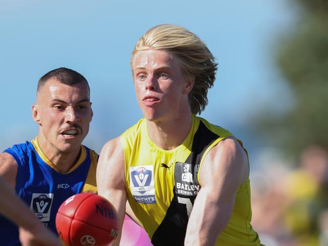 Sam ‘Doc’ Davidson gets busy for the VFL Tigers. Photo: Rob Lawson/AFL Photos