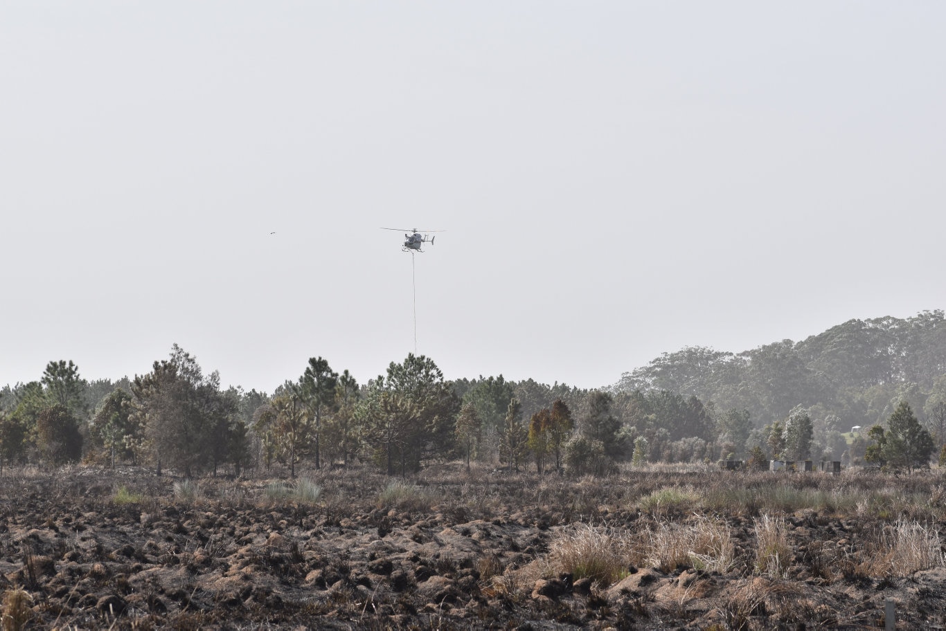 Firefighting helicopters waterbombing the fire at Duranbah.