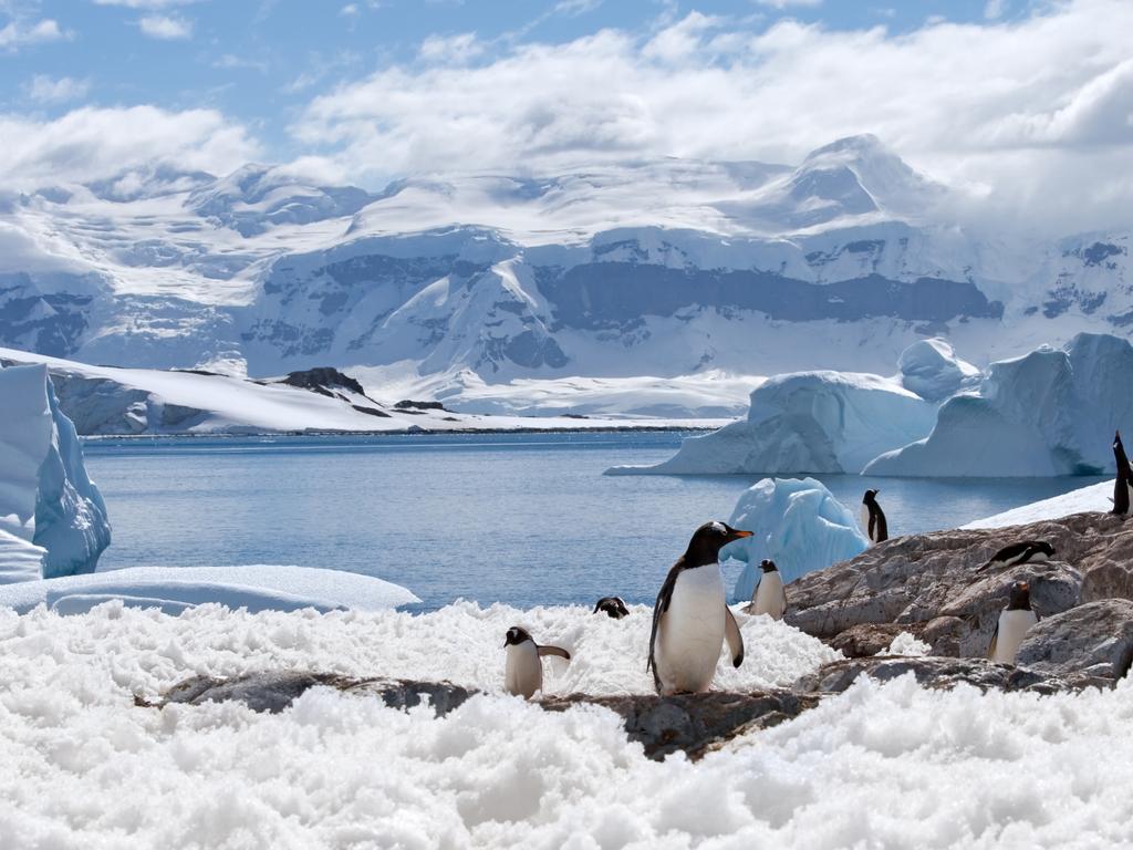 Nicholas Sloane wants to “steal” an iceberg from Antarctica. Picture: Supplied