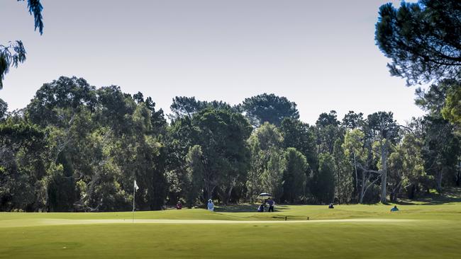 The manicured greens at the Grange Golf Club, which has won the reader poll for the best golf club in the state. Pic: Roy VanDerVegt