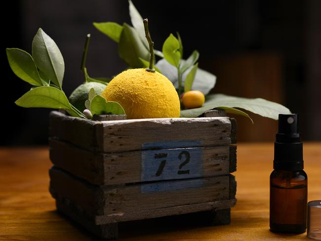 Extraordinary ... The deceptive Lemon, Lime and Bitters dessert created by George Calombaris. Picture: Channel Ten