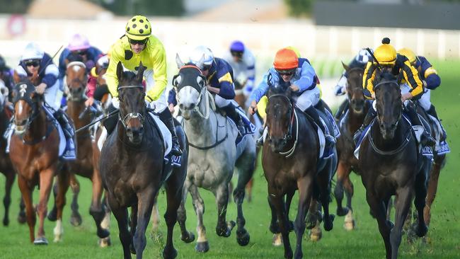 Without A Fight made his name in Queensland. Picture: Grant Peters — Trackside Photography.