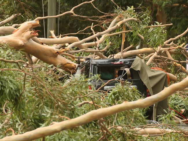 Two trees have fallen accross Napean Road in Emu Plains. One of them has fallen on a Jeep. One person has been airlifted to hospital via Careflight. It appears another person has died after being trapped in the car. This is not confirmed.