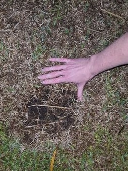 Giant hail hits Yalboroo. Picture: Juliska Jespen