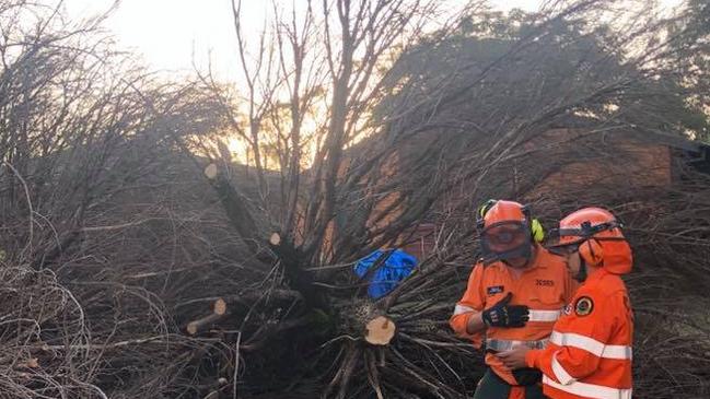 Volunteers from Liverpool were joined by teams from Bankstown and Fairfield. Picture: Facebook