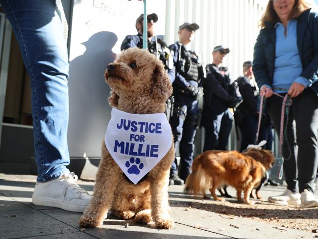 People and dogs alike showed up to support Millie and the Wood family on Friday. Picture: NewsWire/ David Crosling