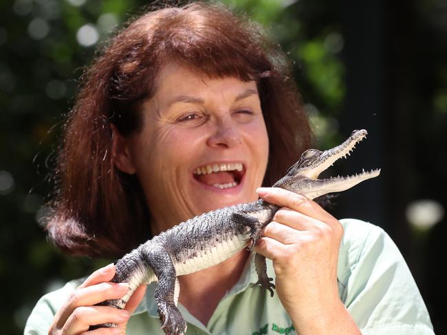 Roaming Reptiles’ Tracey Sandstrom with crocodile Kakadu. Picture: Alex Coppel