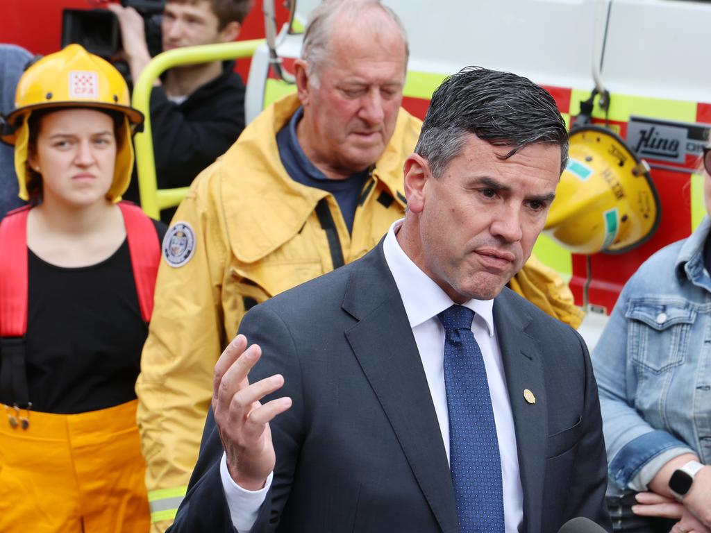 Opposition leader Brad Battin at the protest. Picture: David Crosling