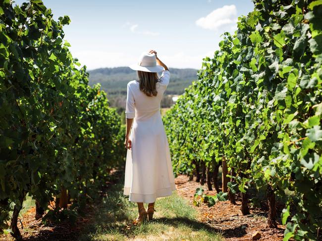 A visitor explores Clover Hill winery's vineyard.