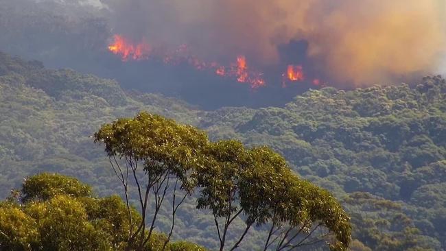 The fire quickly escalated to an emergency level. Source: Northern Beaches Living/Michael Gleeson