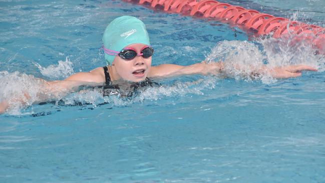 Beef City Swim Meet at 2nd World War Memorial Aquatic Centre, Rockhampton, on October 26, 2024. Photo: Pam McKay