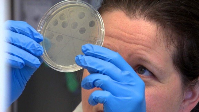 This Winnipeg biotech lab is using viruses to kill drug-resistant bacteria - The Cairns Post