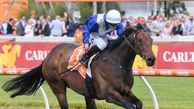 Alligator Blood ridden by Tim Clark wins the Neds Might And Power at Caulfield Racecourse on October 14, 2023 in Caulfield, Australia. (Photo by Reg Ryan/Racing Photos via Getty Images)