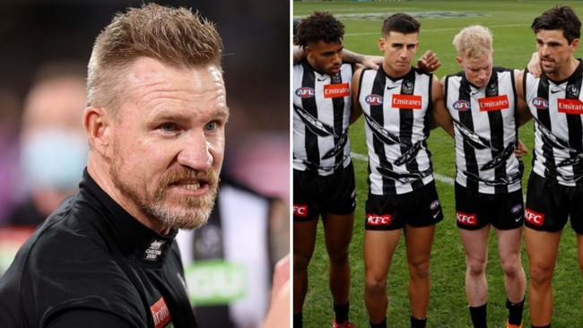 Nathan Buckley is backing the Pies.