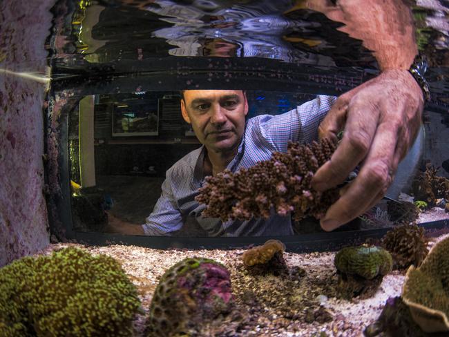 National Sea Simulator manager Craig Humphrey. Picture: Christian Miller