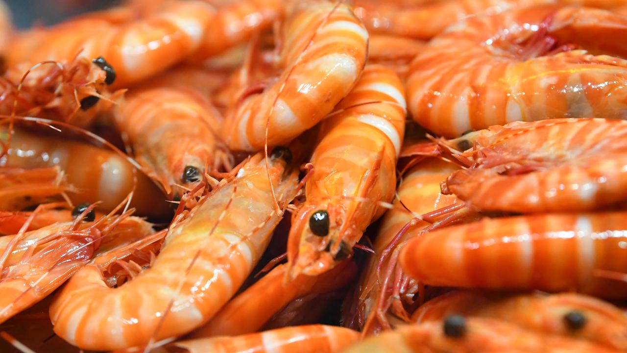 Prawn prices drop by almost 50 per cent since Christmas