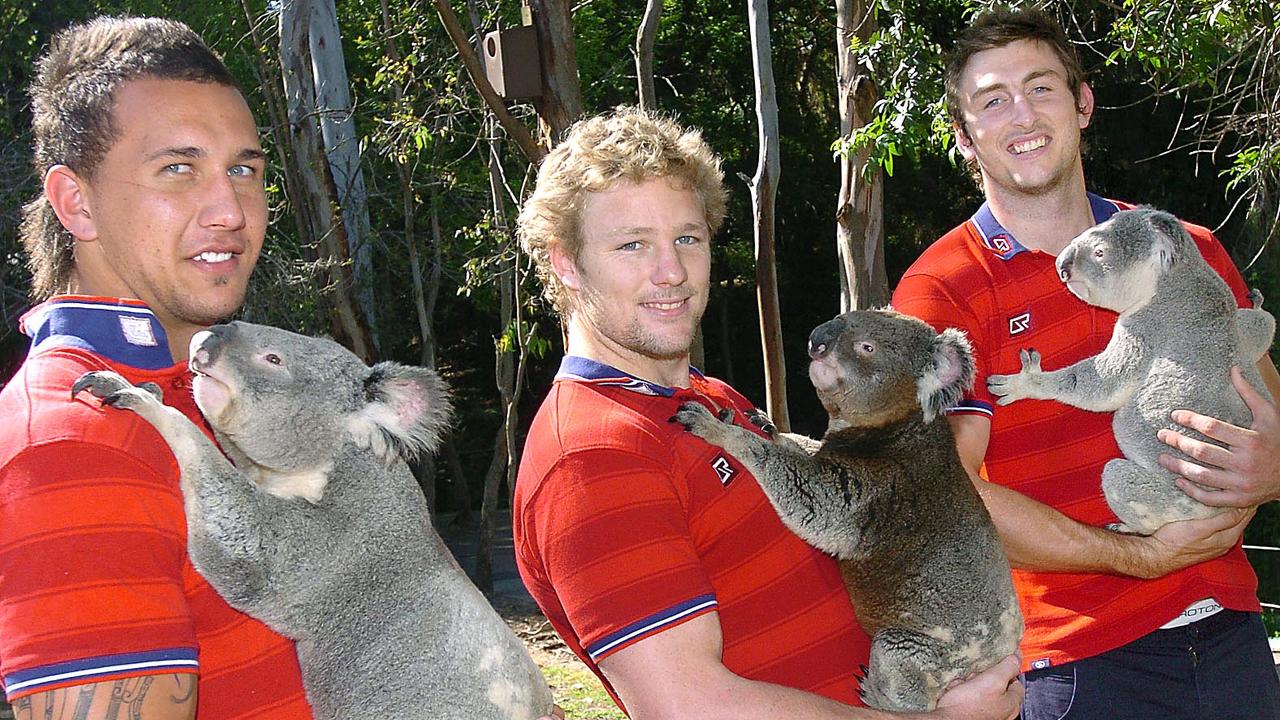 How much can a Koala Bear? Qld Reds Quade Cooper, Peter Hynes and Ed O'Doughue have got a hand full at Lone Pine