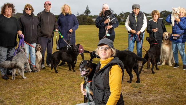 Before being allected to council Andrea Allen and dog Zac led the charge against a plan to ban dogs from sports grounds. Picture: Mark Stewart