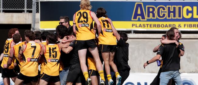 Stingrays players whoop it up after the grand final, having won the club its first premiership in the TAC Cup.