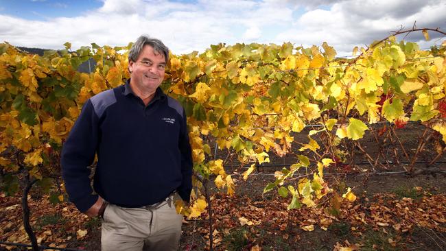 Clover Hill Wines vineyard manager Alexander Van Driel in vineyard. Picture: KIM EISZELE