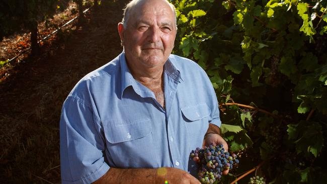 Riverland grower Jack Papageorgieou says business is suffering badly due to the Chinese tariffs on Australian wine. Picture Matt Turner.