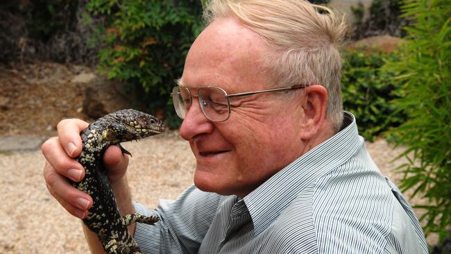 Sleepy lizard flu: New virus threatens South Australia’s romantic ...