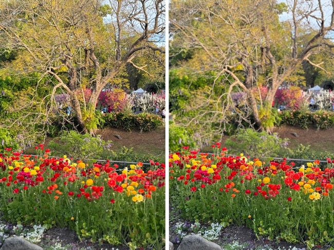 Using portrait mode you can easily focus on the background (left) or the foreground (right). Picture: Andrew Backhouse