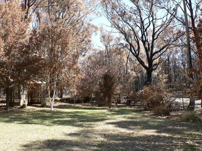 Oak House garden was damaged in the Black Saturday bushfires