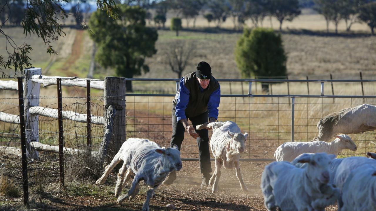 Anthony Jones an his family would like more negotiations on where the transmission wires will go on their Dunedoo farm. Picture: Dean Marzolla