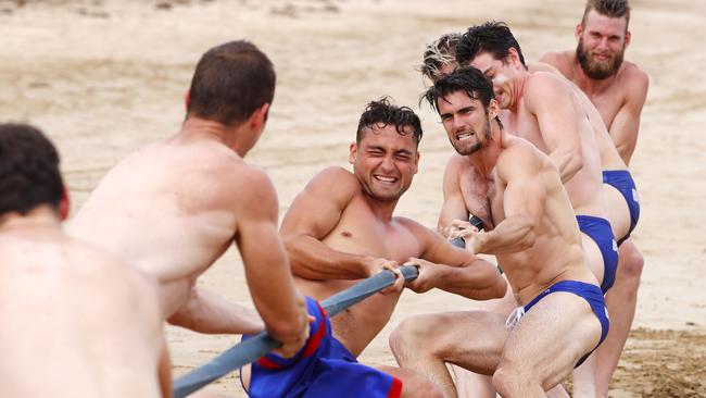 Western Bulldogs players take part in a tug of war. Picture: Michael Klein