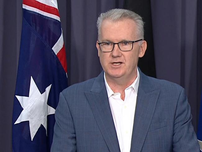 C Minister for Home Affairs and Minister for the Arts, Tony Burke. Picture: ABC NEWS