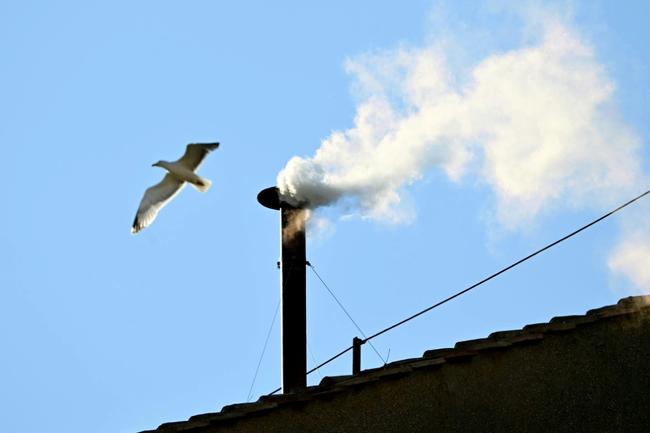 White smoke billowing from a Vatican chimney signalled the election of a new pope.