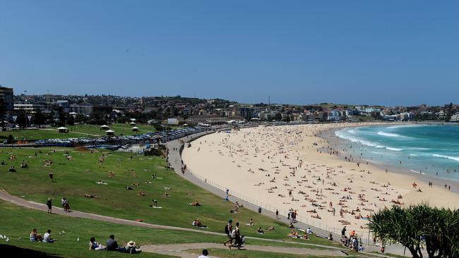 More than 4500 people will hit the polls this Saturday to vote for their preferred candidate vying for a spot on Waverley Council in the local government election.