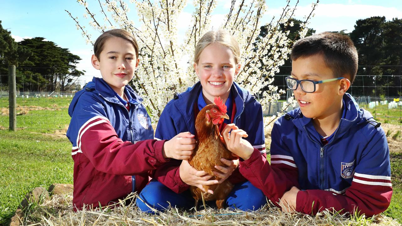 Kardinia International College Year 5 students Noah Hall, Ellie Robson and Tyler Goodwin at the school's rural campus in Kardinia Grove. Picture: Alison Wynd