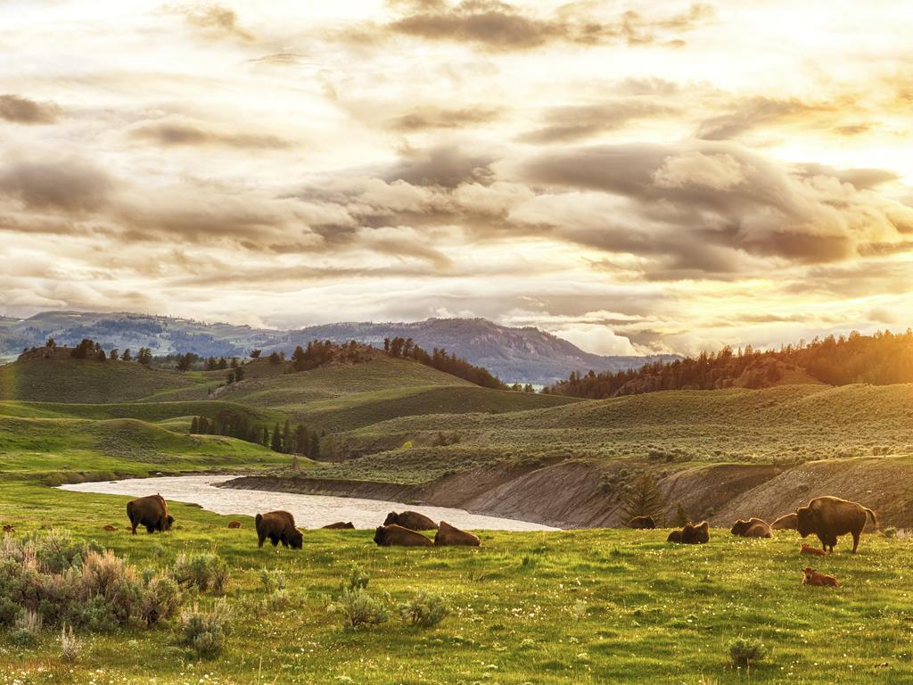 US holiday: Wyoming’s wide open plains | escape