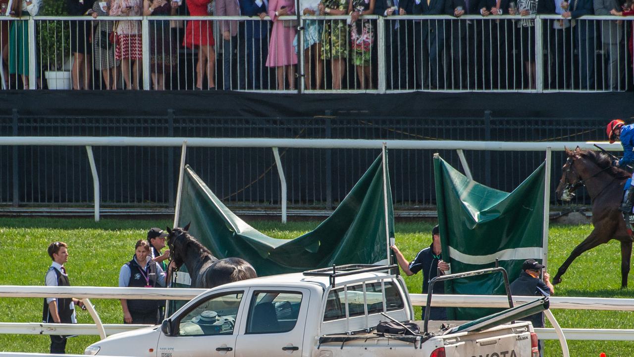 What they don’t want to see. A horse euthanised behind screens in front of the Flemington crowd. Picture: Jason Edwards