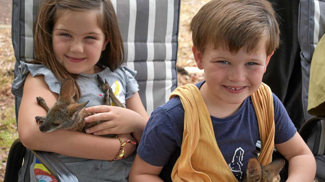 Georgie and Marcus Ball cuddle a joey at Dr Gray&#39;s Internet Cafe. Picture: Ellen Ransley