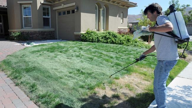 A lawn painter on the job in Reno, Nevada