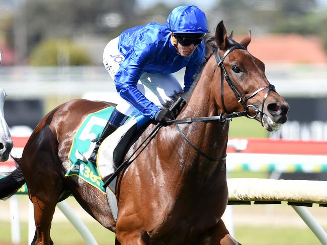 Qewy won the 2016 Geelong Cup.