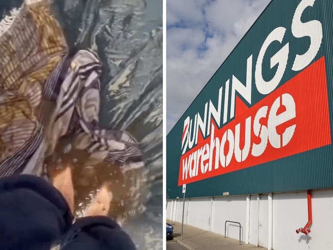 $28 Bunnings item ‘saves Splendour’