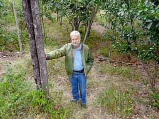 Mr Newby on the patch of council land off Frenchville Rd where he plants butterfly-friendly local species. Picture: Jann Houley