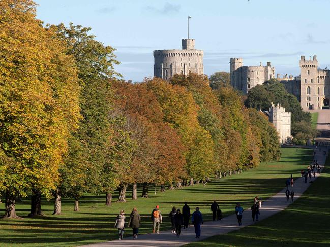 The autumn colours of the leaves on the trees line The Long Walk in Windsor Great Park, leading to Windsor Castle. Picture: AFP