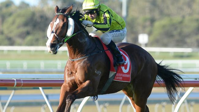 Jeff Lloyd guides Flamboyer to a powerful win in the Glasshouse Handicap on the Sunshine Coast. Picture: Grant Peters, Trackside Photography