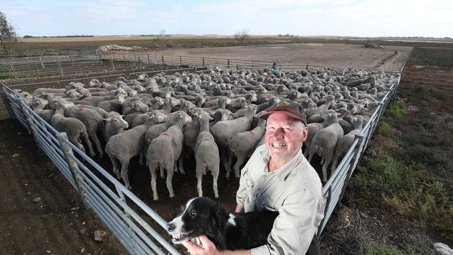 Garry Hansen at his Coomandook property with dog Perry. Picture: Tait Schmaal