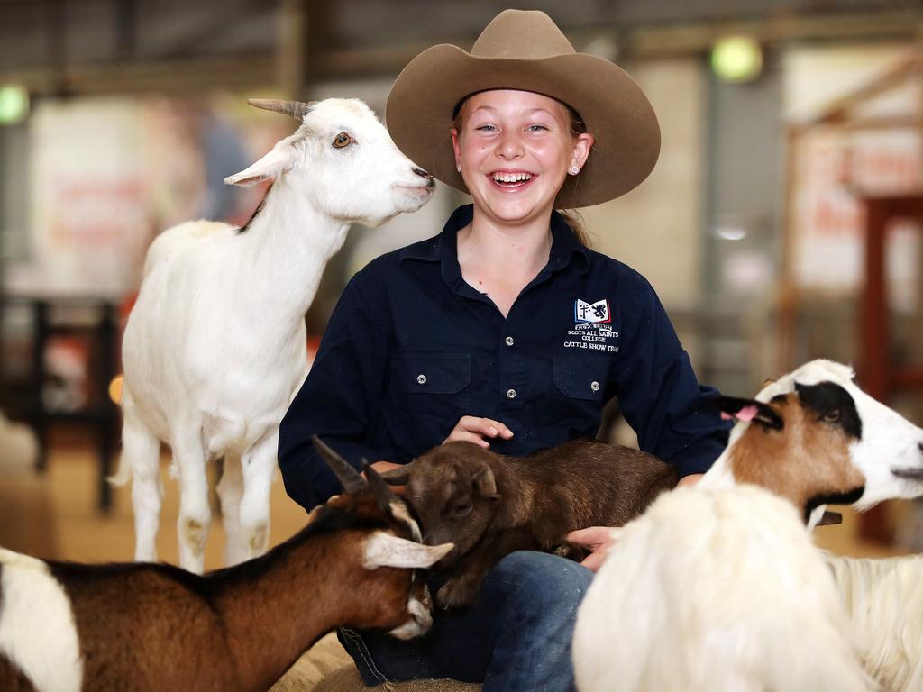 In the Nursery at the 2021 Sydney Royal Easter Show, student Paige Hatton with a baby goats. Picture: Tim Hunter.